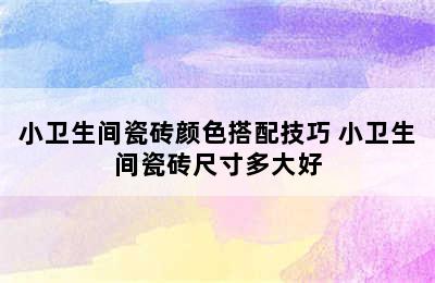 小卫生间瓷砖颜色搭配技巧 小卫生间瓷砖尺寸多大好